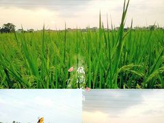-低涌(地铁站)