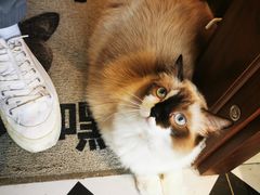 -seeu coffee(江滩店)