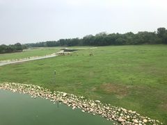 -北京麋鹿生态实验中心