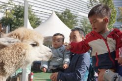 -萌宠亲子动物乐园(槐房万达店)