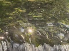 -水磨沟公园