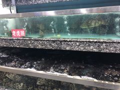 -新农都水产市场