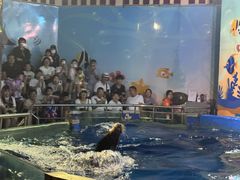 -太平洋海底世界