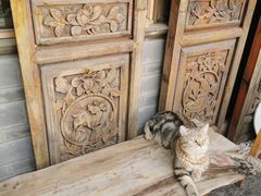 -喵屿·大理花园猫咖