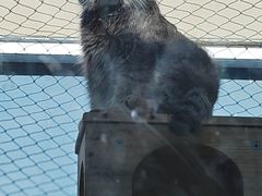 -青藏高原野生动物园