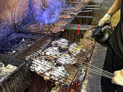 -周记老沈阳焦火鸡架