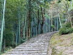 -仙霞关景区