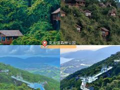 -亚龙湾热带天堂森林公园