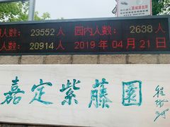 -嘉定紫藤园