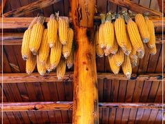 -北京古堡35号院