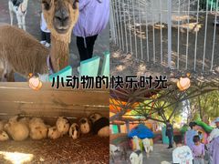 -欢乐水魔方水世界