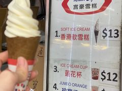-富豪雪糕车流动点(尖沙咀店)