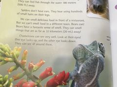 -I-Shine英语国际教育(大三林中心)