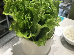 -古乐牛香·鲜牛肉牛杂火锅(新区店)