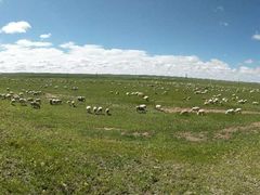 -北极村旅游风景区