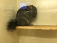 -龙猫仔乐园(惠福东路店)