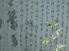 -iF摄影•全家福•证件照•形象照(南山店)