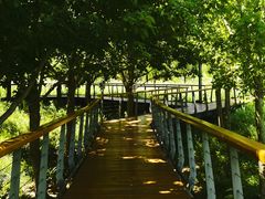 -东郊湿地公园