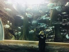 -成都浩海立方海洋公园