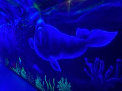 -福州罗源湾海洋世界旅游区