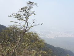-紫金山山顶公园