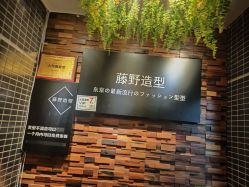 点击看大图 -藤野造型