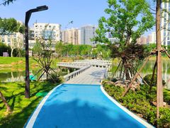-后襄河公园