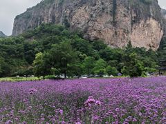 -雁荡山风景名胜区