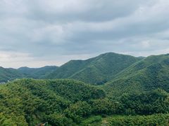 -宁波浙东大竹海景区