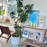 在东莞!有点韩里韩气🇰🇷简约ins咖啡店🤍