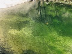 -黑龙潭风景区