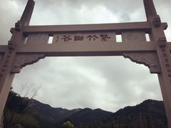 -竹子庵公园