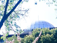 -成都南湖公园