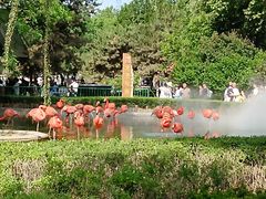 -石家庄市动物园