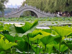 -长春市南湖公园