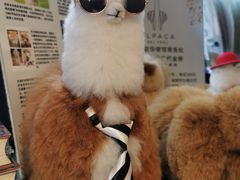 -思南书局(复兴中路店)