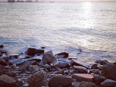 -宝安西湾红树林湿地公园