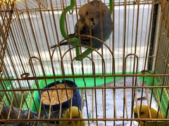 -草原塞蛮羊火锅城(港湾店)