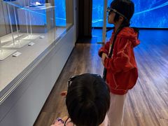 -中国湿地博物馆
