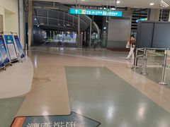 -龙阳路磁悬浮列车总站-停车场