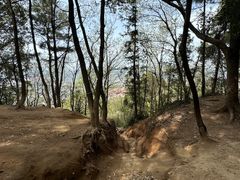 -灵岩山风景区