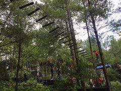 -梦幻奥陶纪景区