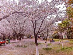 -堤角公园