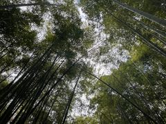 -苏州环秀晓筑养生度假村