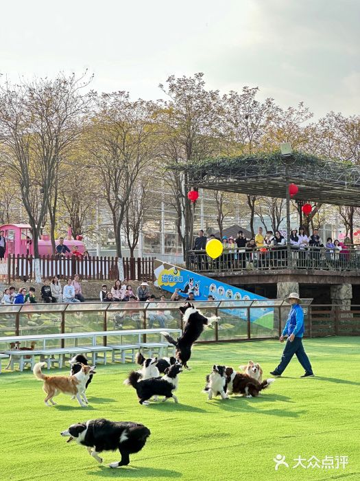 盈香心动乐园图片