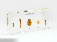 psb&nbsp;(2)-七浦路服装批发市场