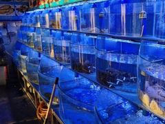水产区-鼓歌海鲜舫·手抓海鲜(大学城店)