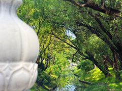 -北坞公园