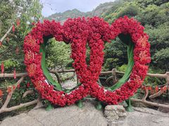 -黄山翡翠谷景区