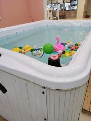 -TAILY BABYSPA泰丽宝贝婴儿游泳(金狮广场店)